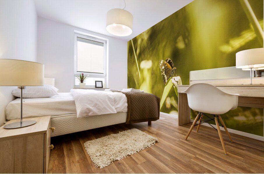 Jungle butterfly Mural print