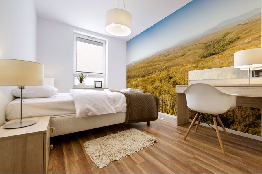 Plain plains Mural print