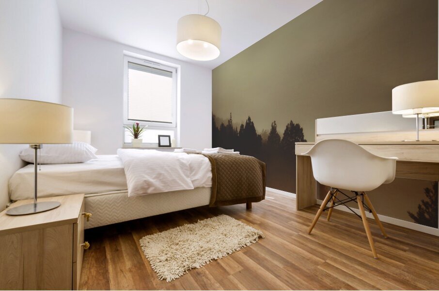 View of abandoned country road in foggy forest Mural print