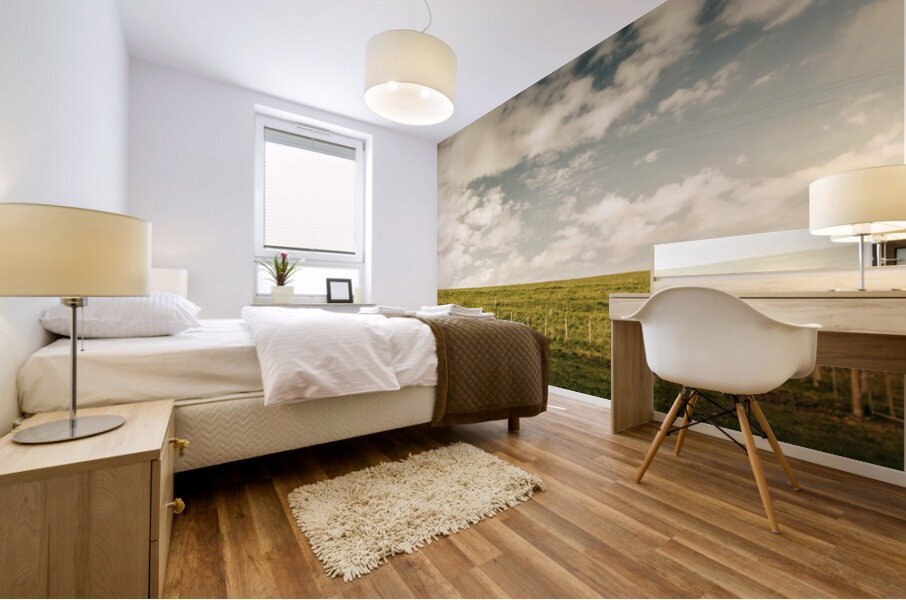 Camena Tasmania country panorama Mural print