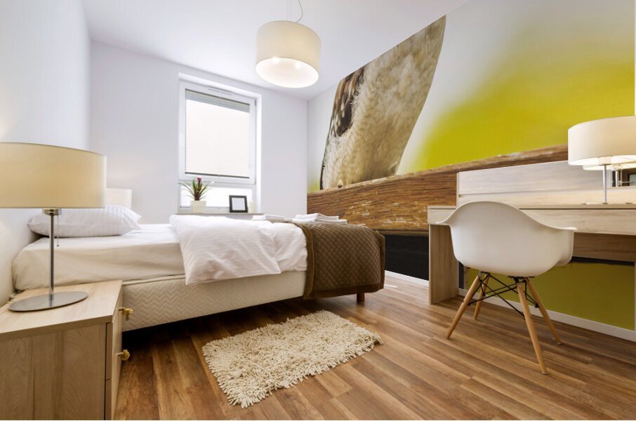 Australian Kookaburra Mural print