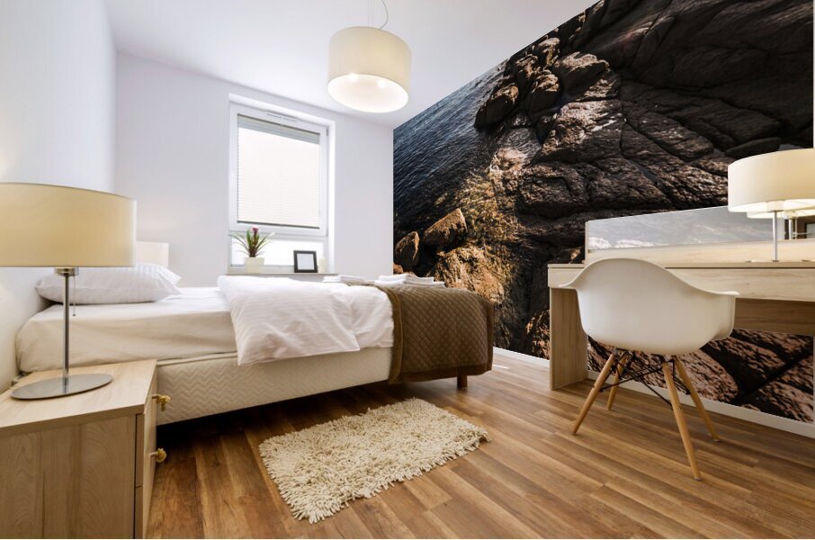 Beautiful rock covered coastline Mural print