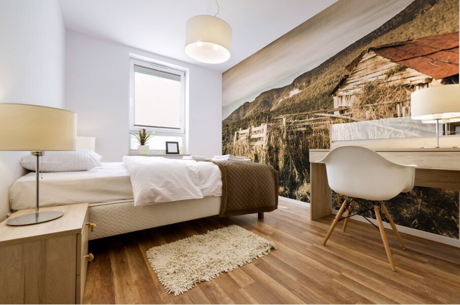 Outback obsolescence  Mural print