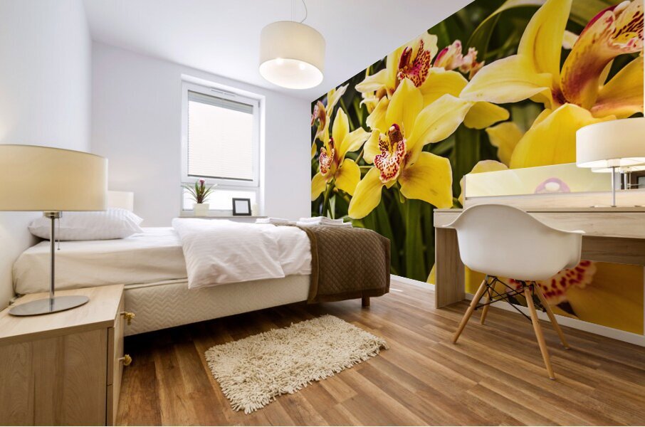 Exotic orchids  Mural print