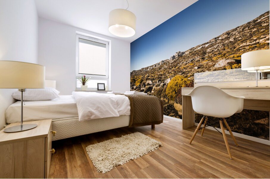 Rocky alpine village Mural print