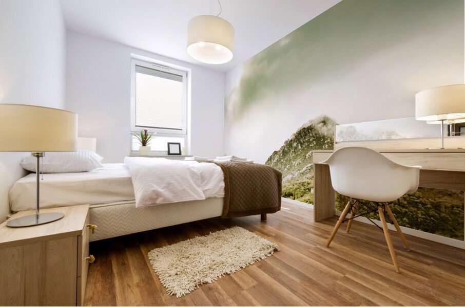 Temperate alpine terrain Mural print