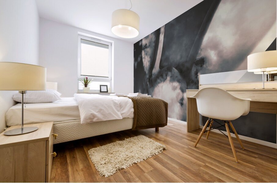 Illusion airy Mural print