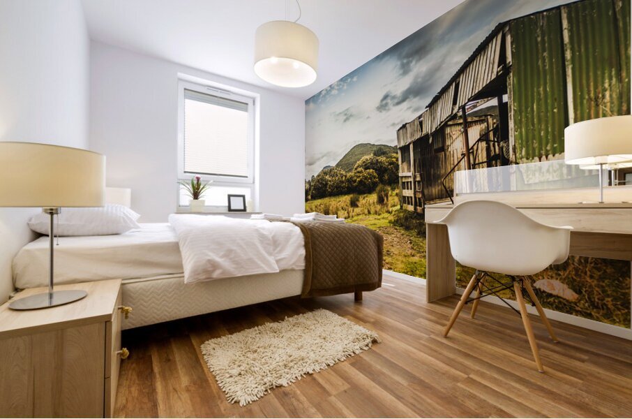 Rural abandoned shed in old rural countryside Mural print