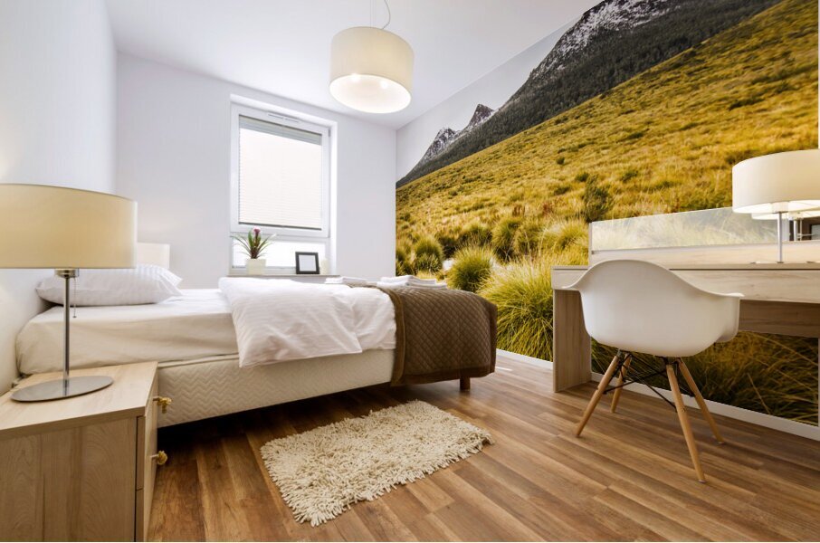 Snowy Tasmania mountain top Mural print