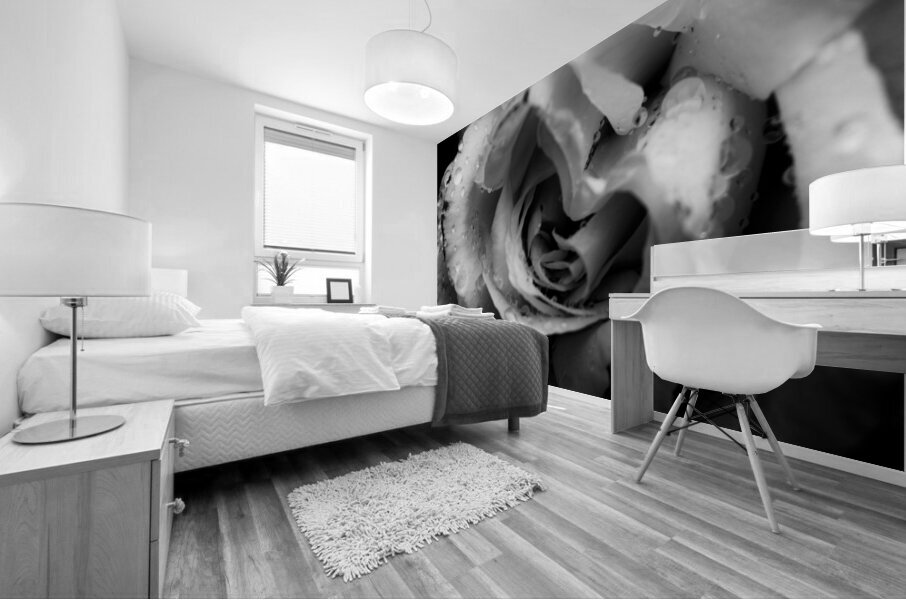 Rose n rain Mural print