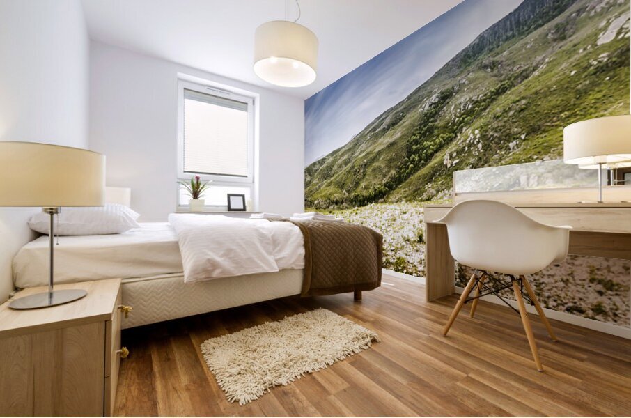 Mount Agnew landscape in Tasmania Mural print