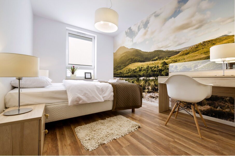 Western Tasmania mountain range Mural print