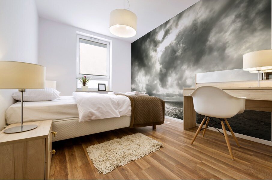 Storms last light Mural print