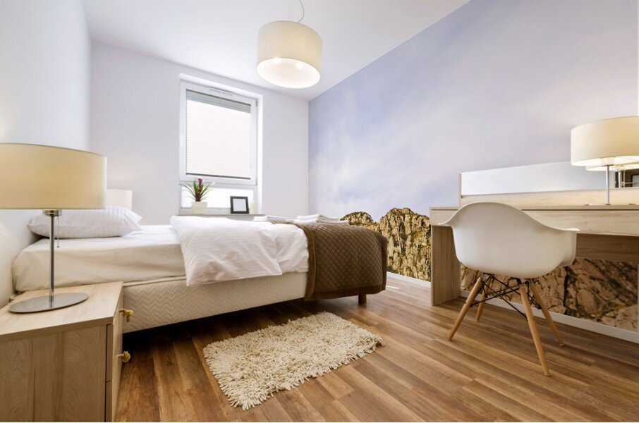 Scenic view of Mount Ferrell in Tullah Tasmania Mural print