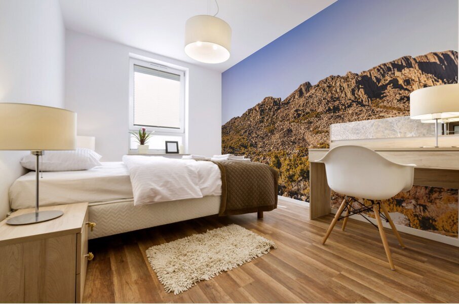 Arid Australian panoramic Mural print