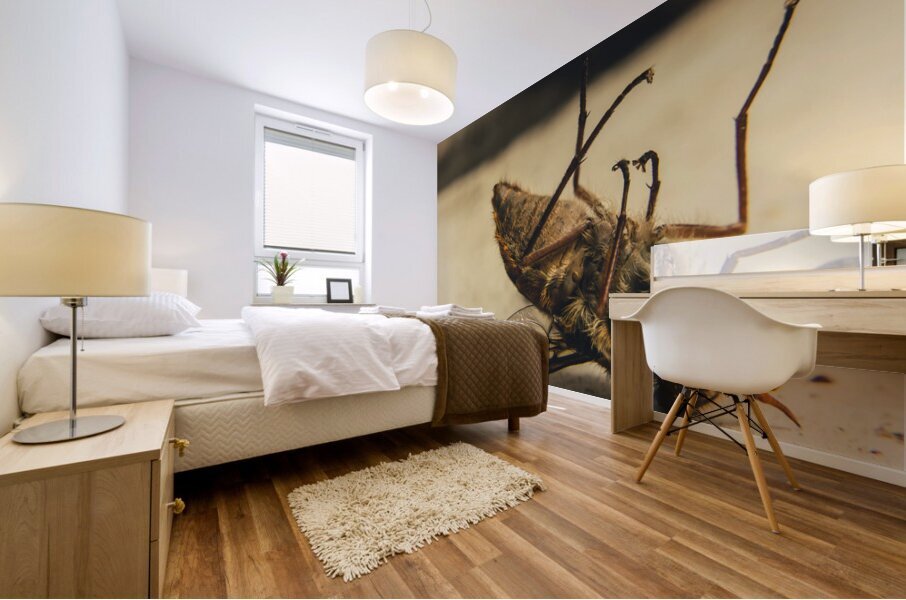 No escape Mural print