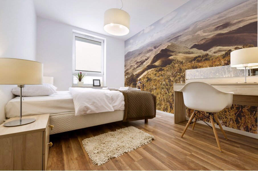 Zeehan Tasmania Mural print