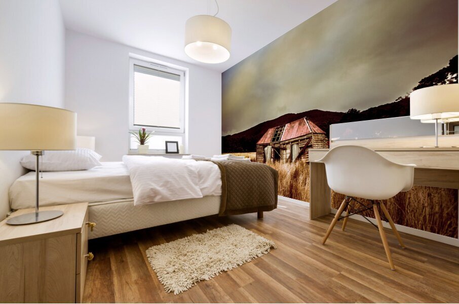 Collapsing old wooden farm building Mural print