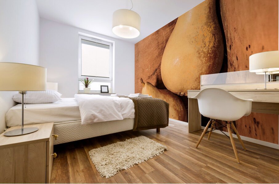 Yellow colored pears on wooden background Mural print