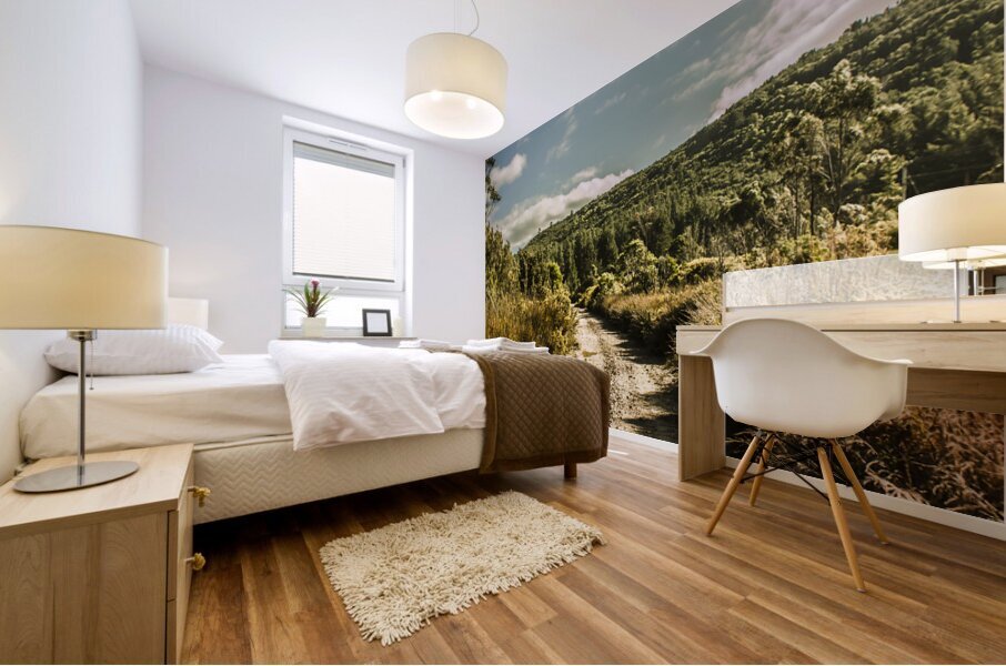 Zeehan dirt road landscape Mural print