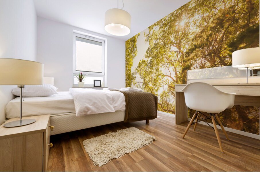 Up and away Mural print