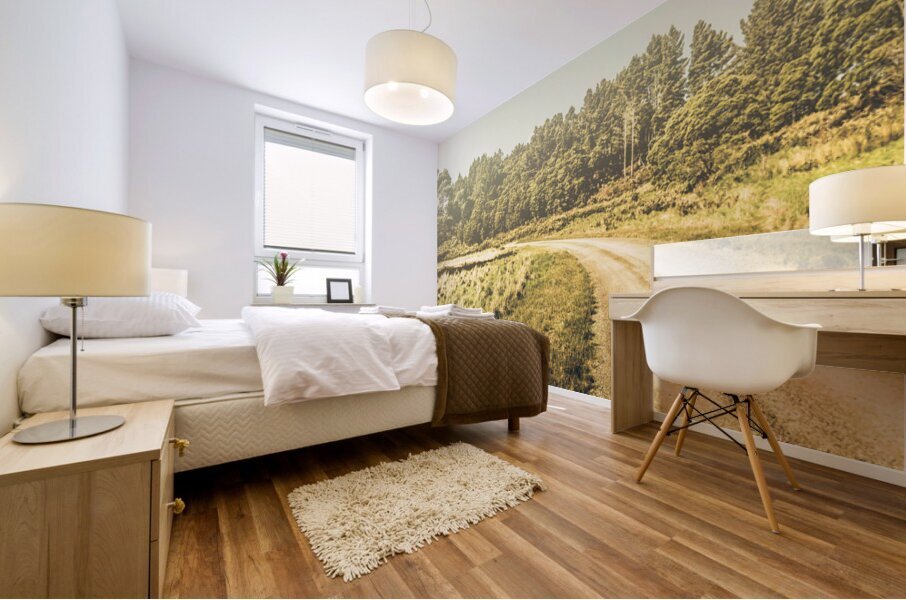 Old-fashioned country lane Mural print