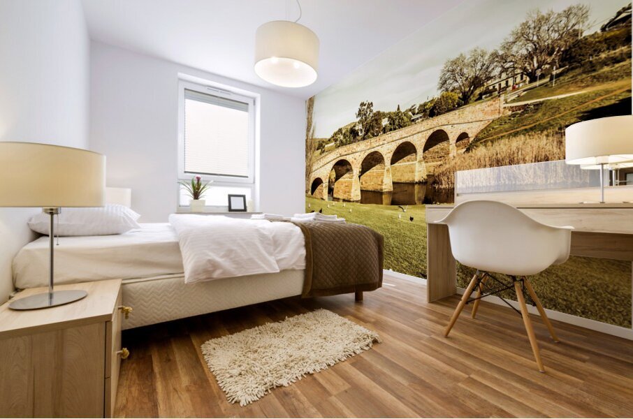 Australian bridges Mural print