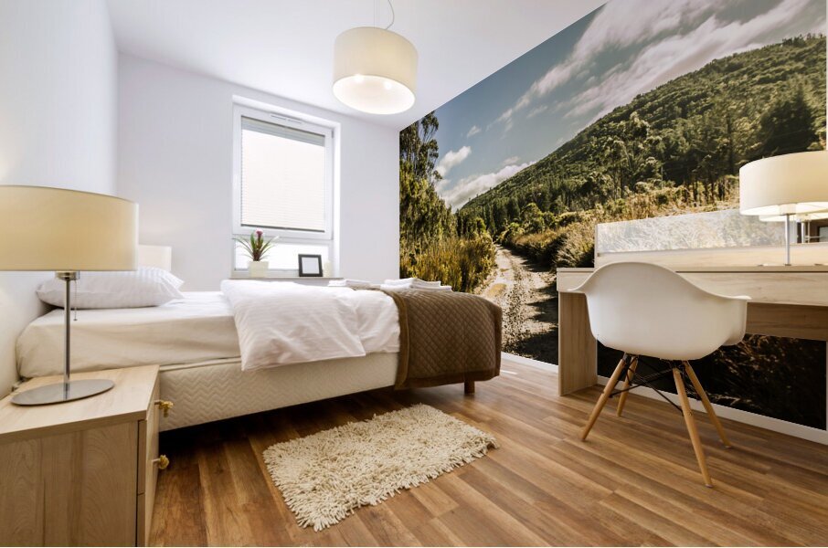 Rural paths out yonder Mural print