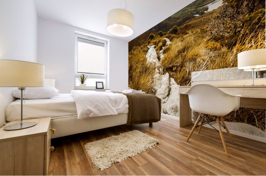 Hiking the Mount Sprent Trail Mural print