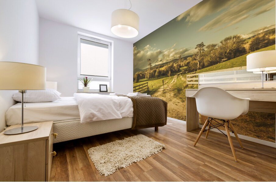 Outback country paddock Mural print