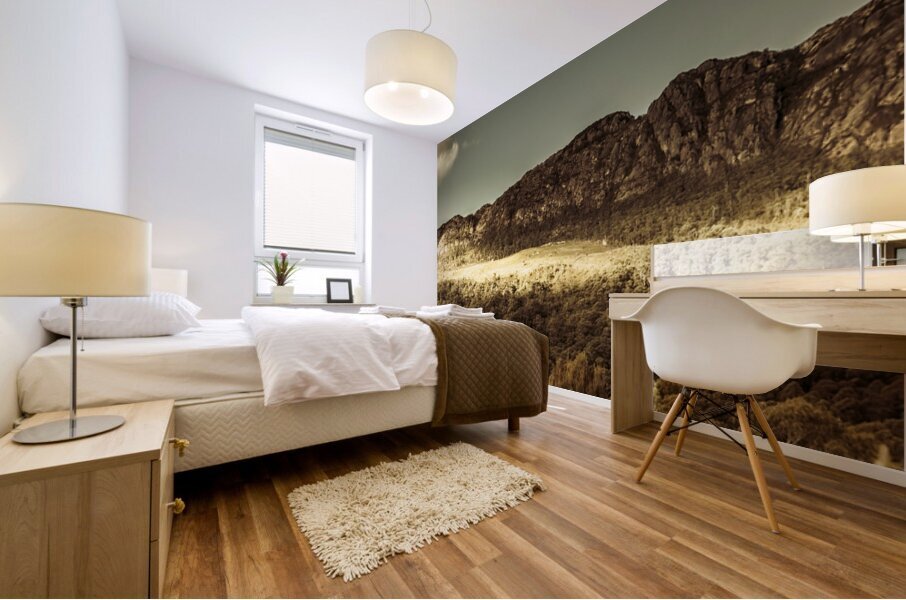 Wild West Mountain Panorama Mural print