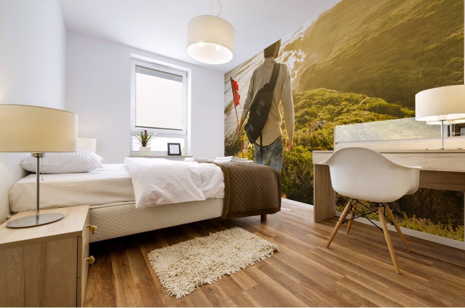 Spirit of Tasmania Mural print