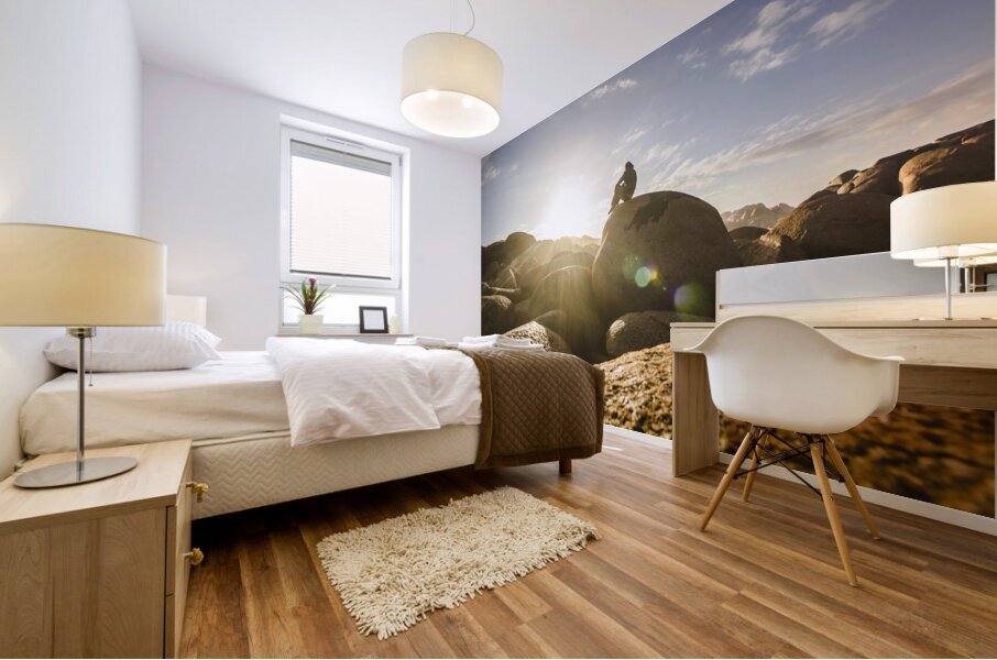 Granville Harbour reflections Mural print