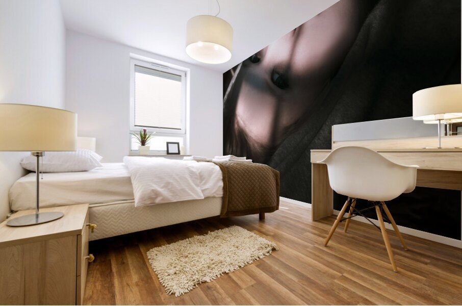 Moon Lit Face Mural print