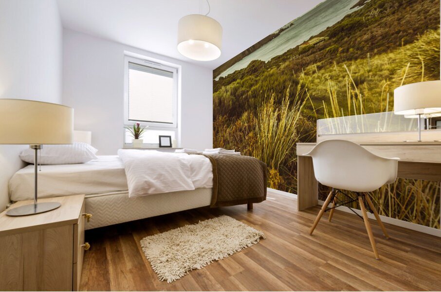 Grassy hills and distant mountains Mural print