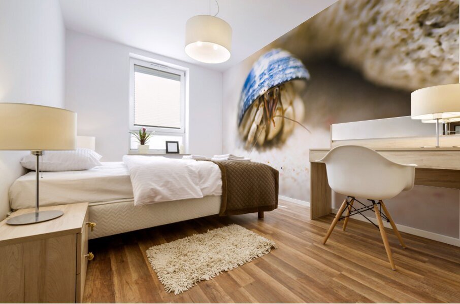 Hiding Hermit Crab Mural print