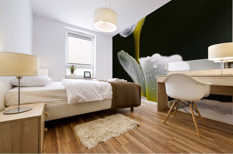 Water Droplet On Frangipani Flower Mural print