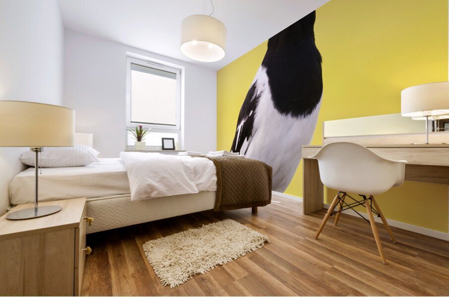Mr. Magpie Mural print