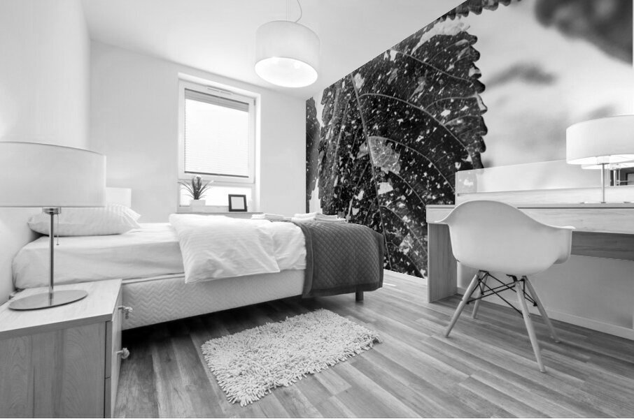 Leaves and light Mural print