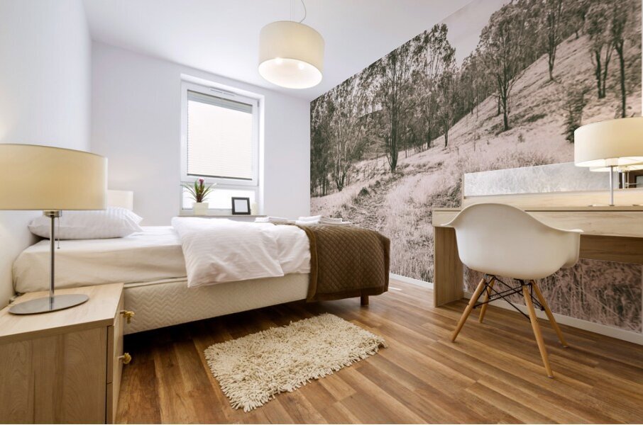 Through fields aplenty Mural print