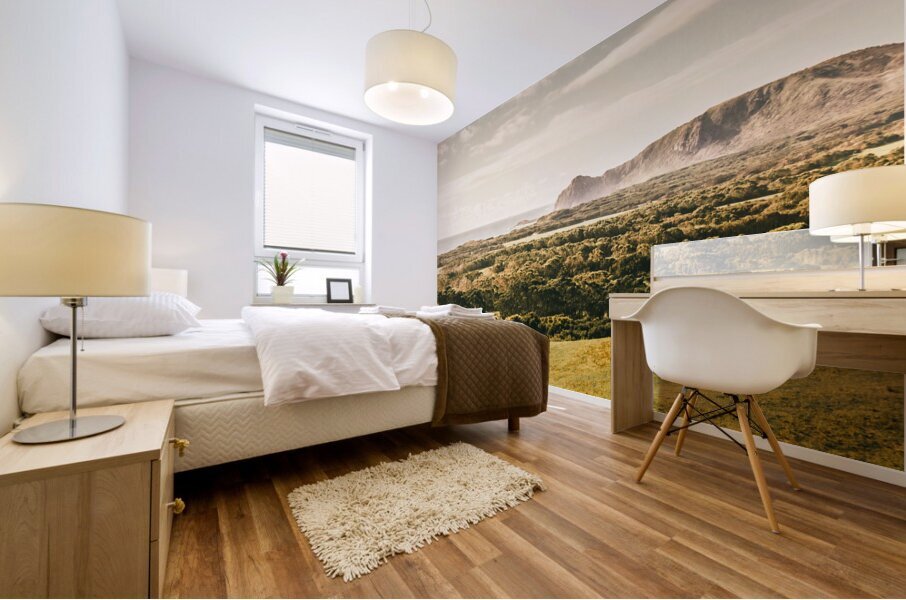 Rocky capes and rugged coasts Mural print