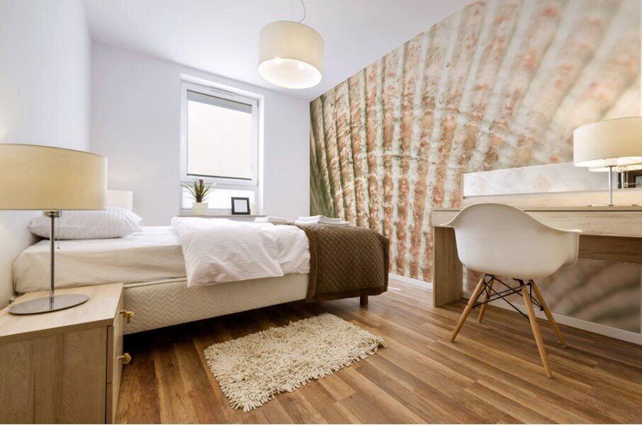 Macro marine minimalism Mural print