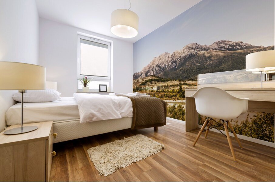 Wild mountain range Mural print