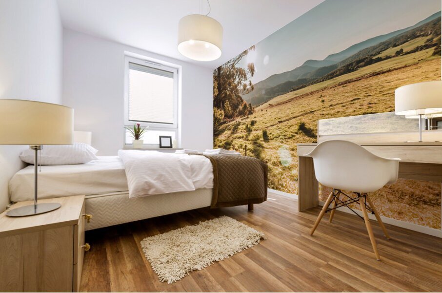 Meadows and mountains Mural print