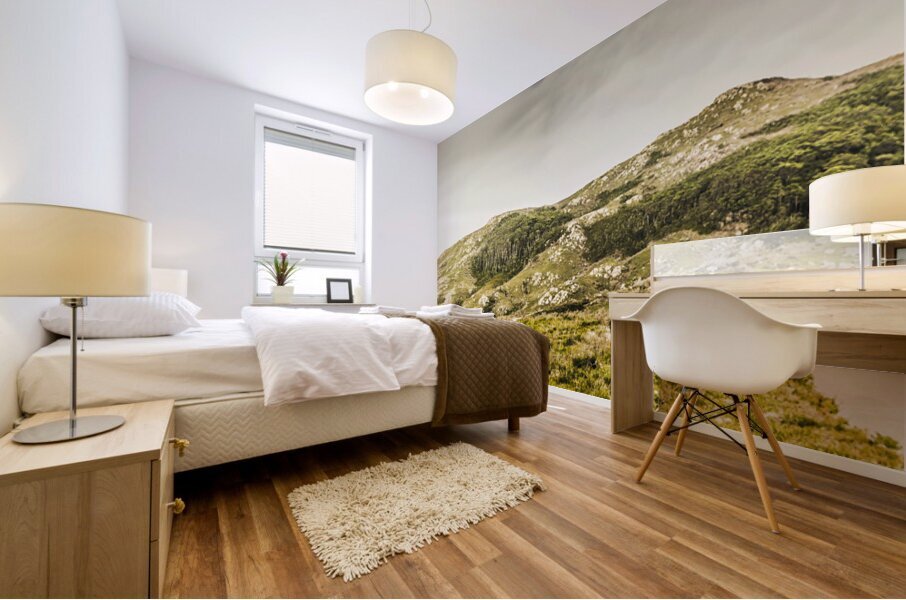 Mountain country Mural print