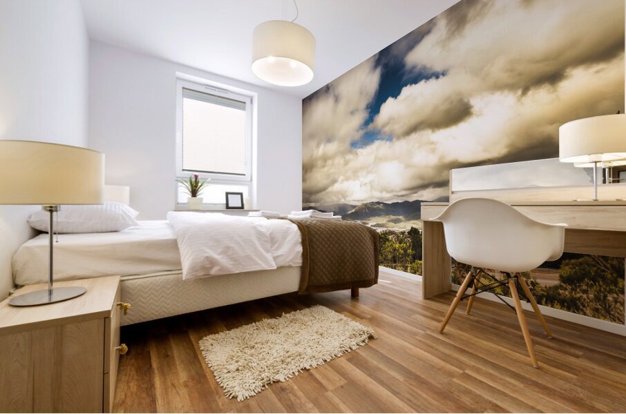 Wild West Of Tasmania Mural print