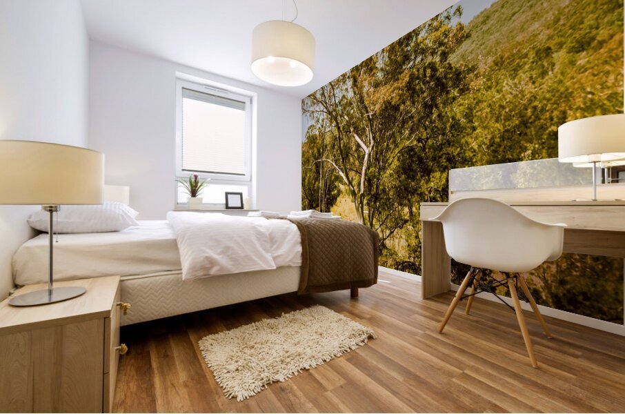 Quaint country view Mural print