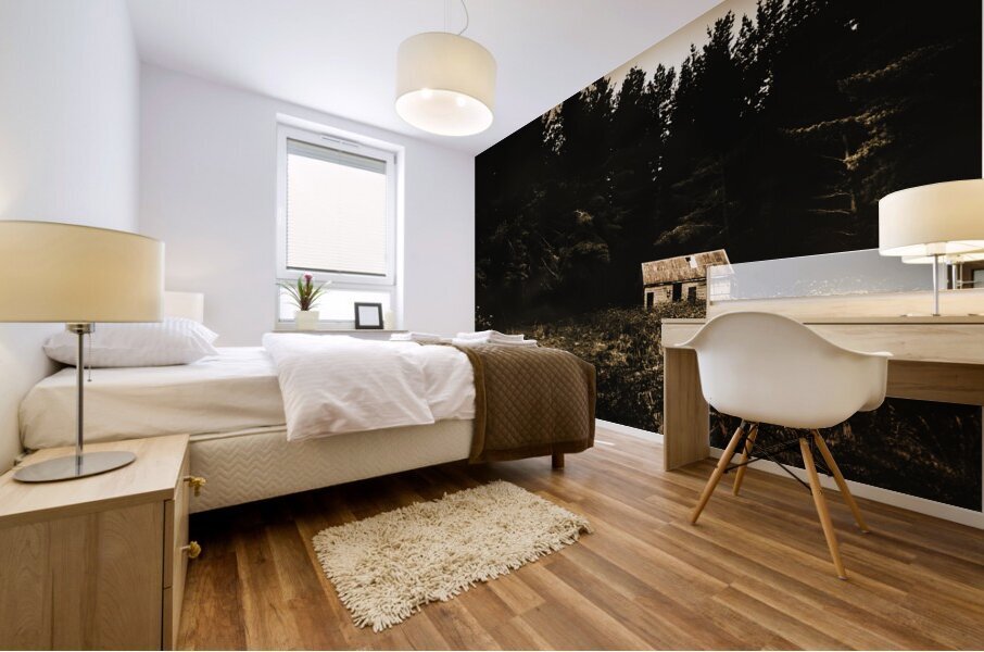 Beauty in dilapidation Mural print