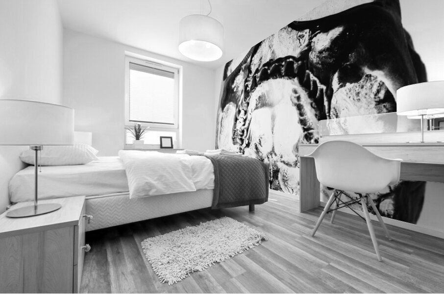 Skulls and dental records Mural print