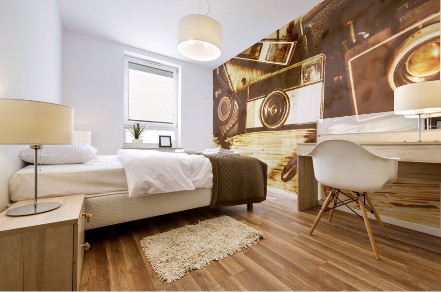 Retro film cameras Mural print